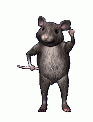 dancing rat gif|rat gif transparent.